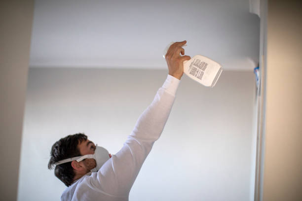 Best Mold Remediation Services  in Missoula, MT