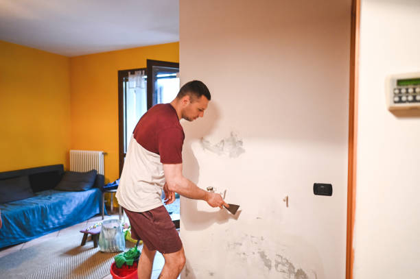 Crawl Space Mold Removal in Missoula, MT